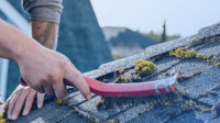 Roof Cleaning
