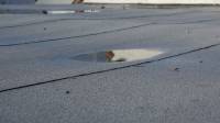 Flat Roofing