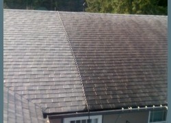Roof Cleaning