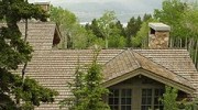 Wood Roofs