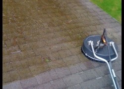 Moss Removal