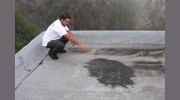 Inspections