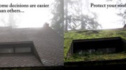 Roof Repair