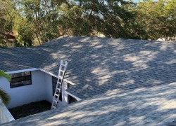Shingle roof
