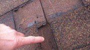 Roof Replacement
