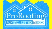 Professional Roofing & Siding