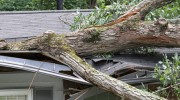 Roof Repairs